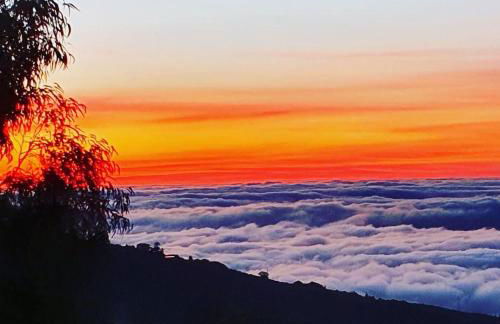 Tenerife Nature Retreat - Foto 10