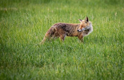 MCDreyer Ferienwohnung - Foto 57