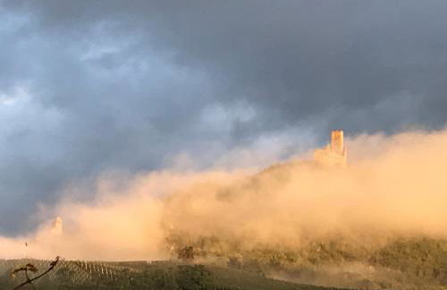 Le Logis du Vignoble - Foto 16