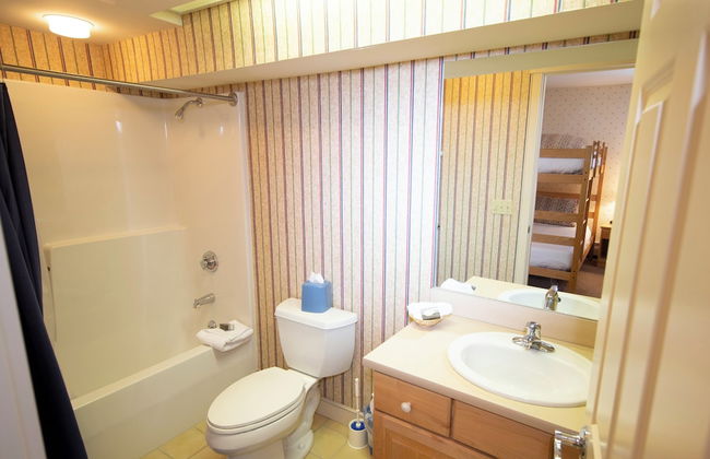 Solitude Village at Okemo by Vail Resorts - Foto 73