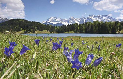 Beim Gschdoaga - Foto 31