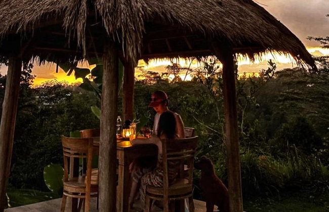 Bali Nature Wonders: Ubud Monkey Forest and Firefly Night - Full-Day Tour - Photo 1
