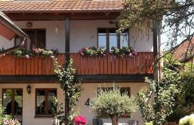 Galerie Ueber den Gaerten - Foto 31