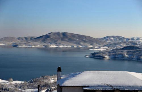 Anthemion - Photo 30