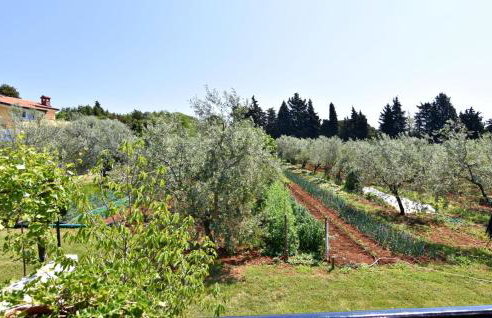 Peaceful flat surrounded by nature - Foto 33