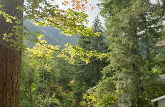 Forest Escape at Wilderness Rim - Foto 10