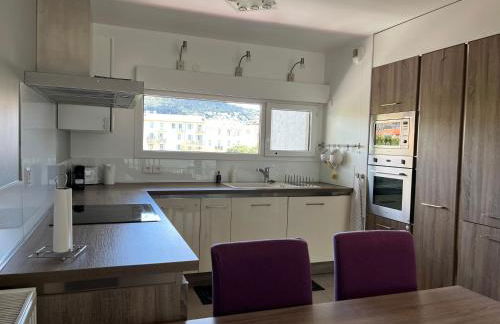 3 pièces central au pied de la promenade du paillon - Foto 15