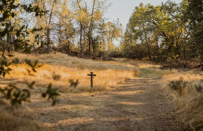 Luxury Nature Getaway Stone House by Casa Oso - Foto 34