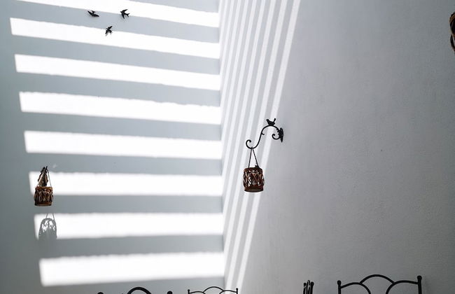 Quinta de São Tomé - Foto 44