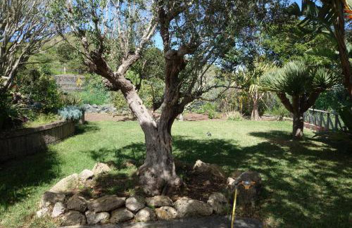 Finca Las Canitas - Ferienhaus Teneriffa - Foto 25