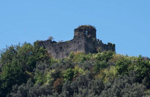 Agriturismo La Vecchia Quercia - Foto 82