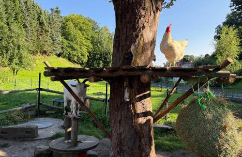 Naturhof Kluge - Foto 57