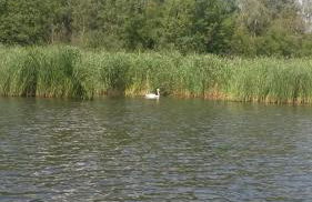 Alteschule15 - Foto 24