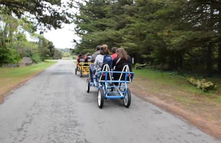 le Colibri "3 étoiles" - Foto 14