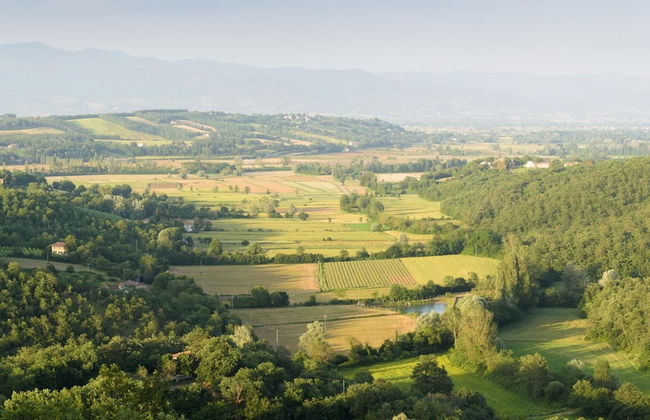 Ar-a291-loto0at - Villa Vittoria d Anghiari 7 3 - Photo 47