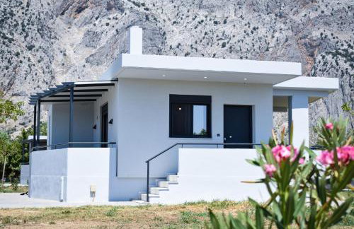 Alexandra's Place - Photo 10