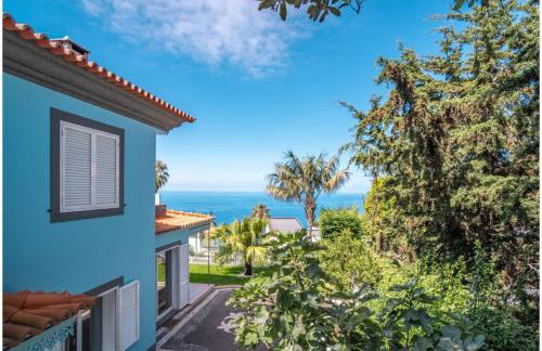 Villa Loureiro Palace With Soccer Field - Foto 48