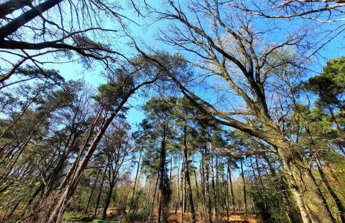 Ferienhaus am See Goch Kessel - Foto 38