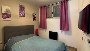 Appartement 2 chambres centre Tarascon-sur-Ariège - Foto 4