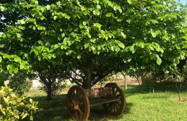 Retiro dos Cedros - Quarto Adega - Foto 17