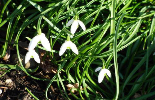 Relaxen im alten Winzerhaus Fewo OG - Foto 53