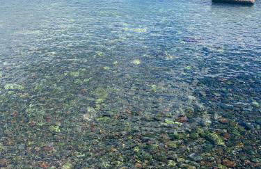 Villa Giacinti - Foto 50