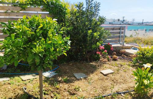 Allegro suite - Foto 11