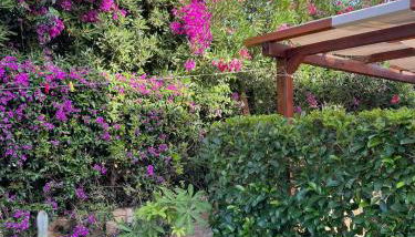 Villa Antonella - Foto 3