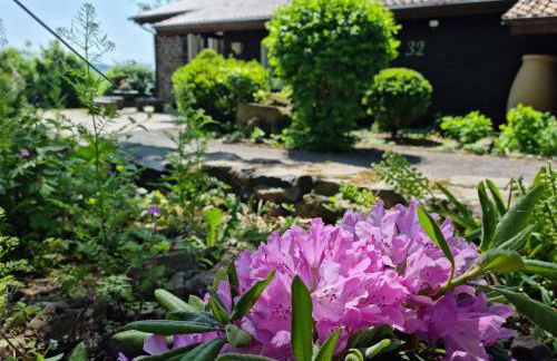 Ferienhaus Vogelsbergblick, Fernblick, Sauna, Kamin, 1700m eingezäunt in Alleinlage - Foto 8