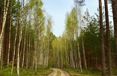 Domek nad jeziorem Guzowy Piec - Foto 17