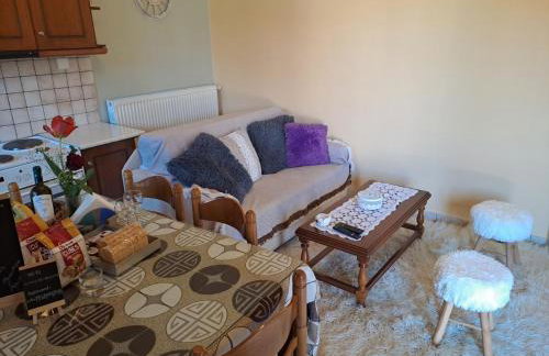 Kontolati's Mountain House - Foto 10