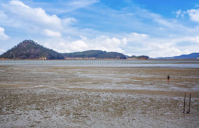 Hue travel Pension - Foto 52