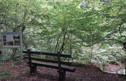 Talblick & Ruhe in Hirschhorn Langenthal - Foto 17