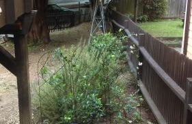 Boutique Style Apartment in the heart of SE - Foto 18