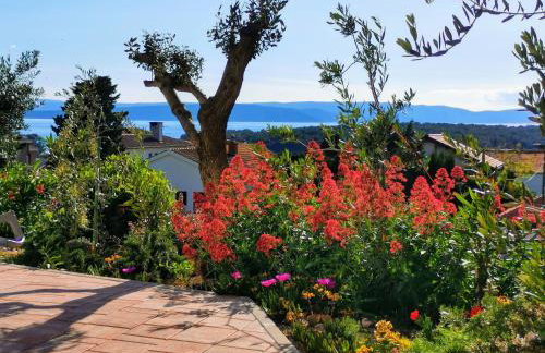 Apartman Franolic Punat - Foto 46