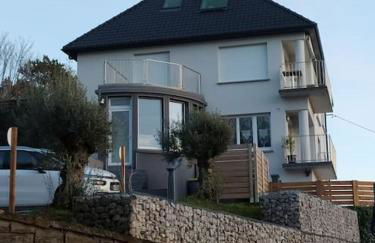 Face Nausicaa et plage vue panoramique - Foto 16