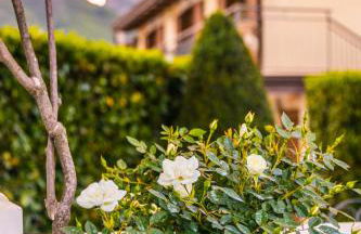 Divina Costiera - Foto 16