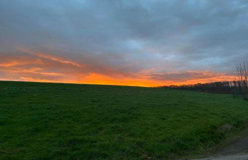 LiFarm HVT - Foto 27