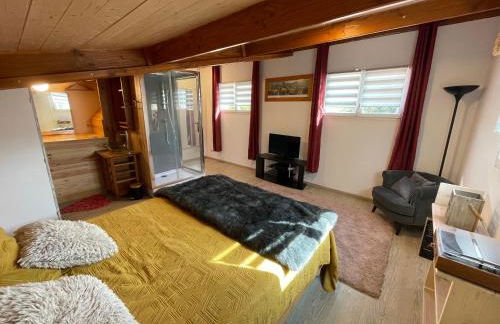 Studio meuble - Foto 1