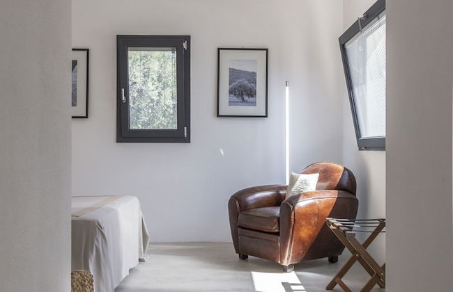 Tenuta Olive Alive - Foto 6