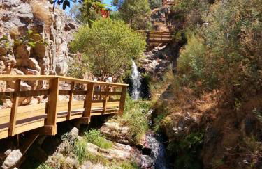 Moradia Albertina - Foto 37