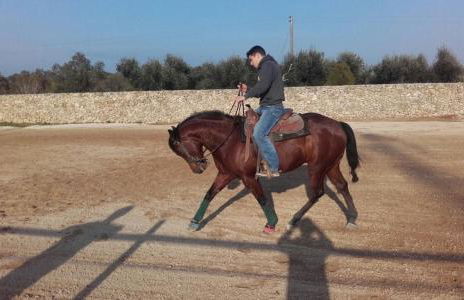 Masseria Sucéa - Foto 40