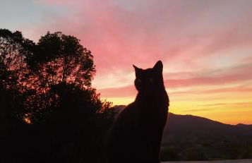 Casa Rural Haitzetxea - Foto 45