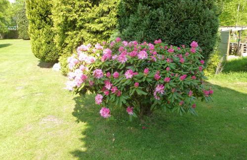 Fehn Appartements - Foto 49