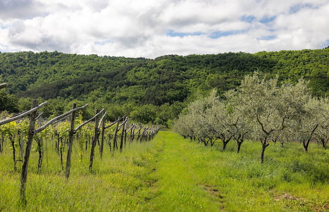 Tourist farm RED FAIRYTALE - Foto 55