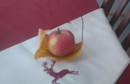 Agritur Leita - Foto 48