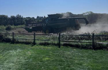 Downsview Loft - Foto 2