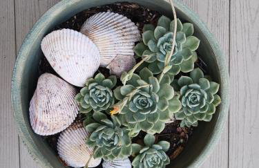 Dog Friendly-Short Walk to Beach-Canal Front-Screened Porch-Peaceful - Foto 48