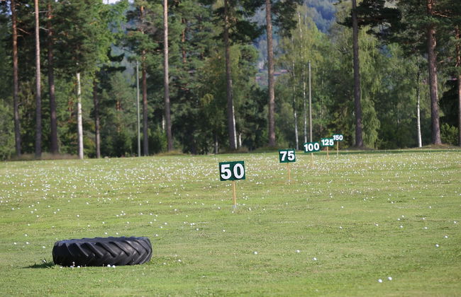 Rättviks Golfby - Photo 23