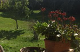 Villa Bel Lago - Foto 45